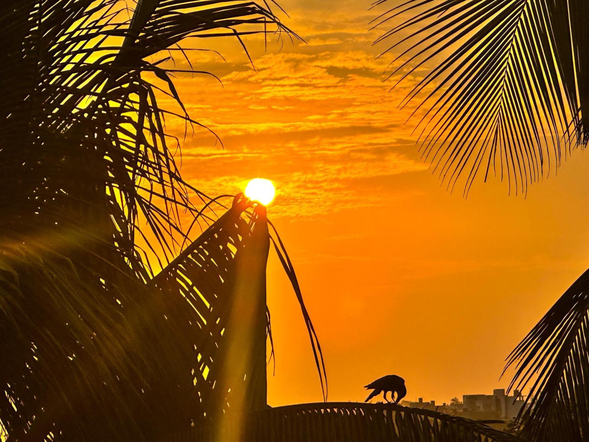 New Panda House Hotel Galle Luaran gambar